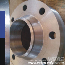 ANSI Class150lbs/Class300lbs/Class600lbs/Class900lbs Welding Neck Flanges